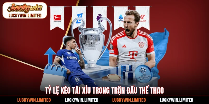 Tỷ lệ kèo tài xỉu trong trận đấu thể thao